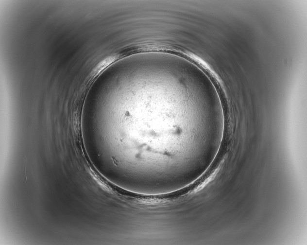 X0000085750897200703161052