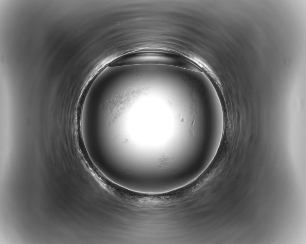 X0000085750898200703161052
