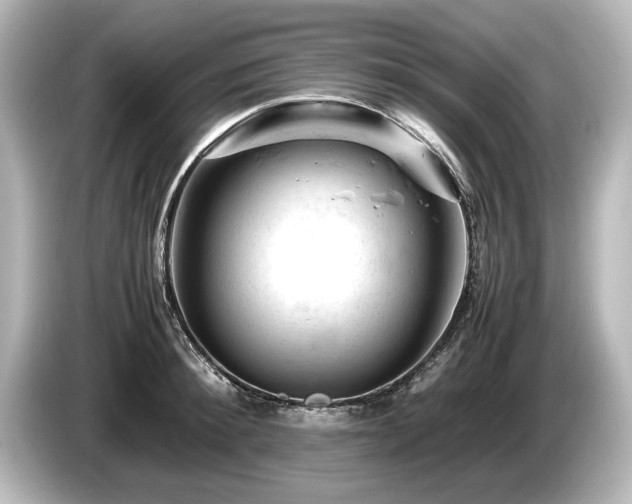 X0000085750900200703161052