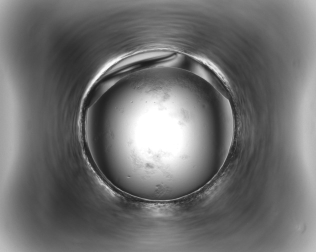 X0000085750902200703161052