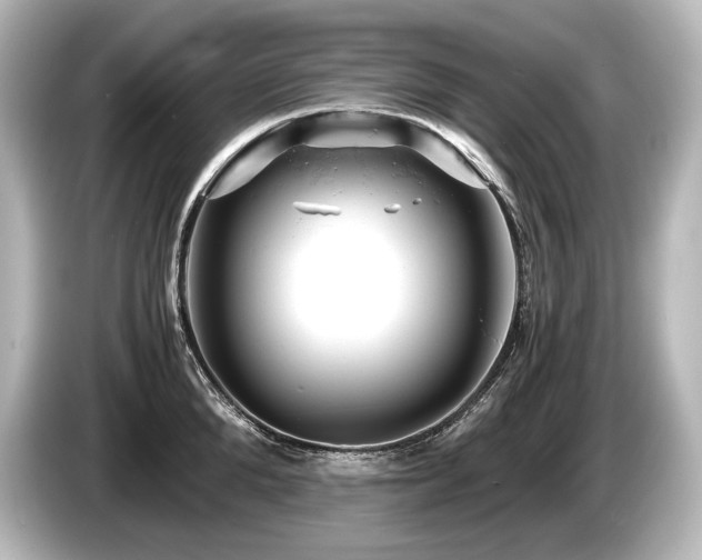 X0000085750904200703161052