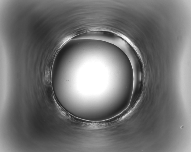X0000085750905200703161052