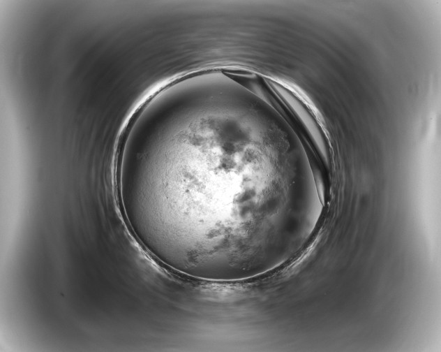 X0000085750910200703161052