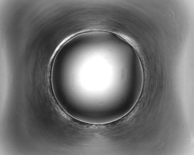 X0000085750912200703161052