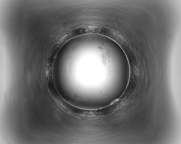 X0000085750914200703161051