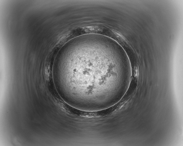 X0000085750915200703161051
