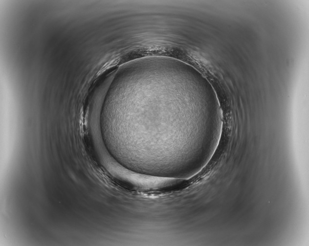 X0000085750916200703161051