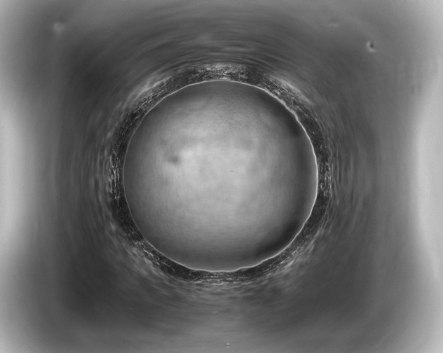 X0000085750917200703161051
