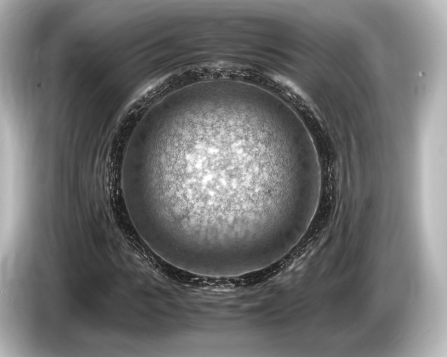 X0000085750919200703161051