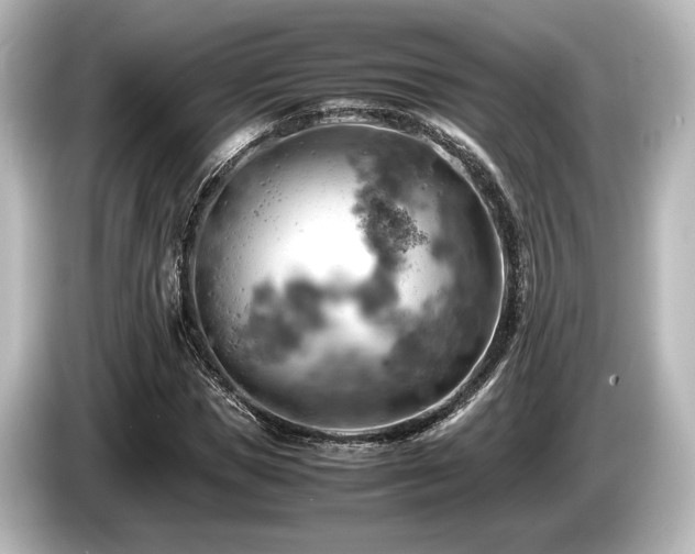 X0000085750921200703161051