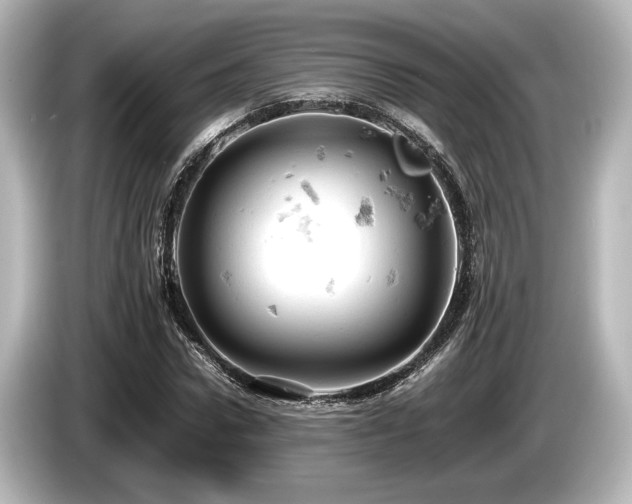 X0000085750922200703161051