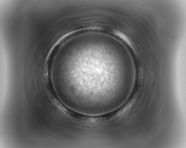 X0000085750923200703161051