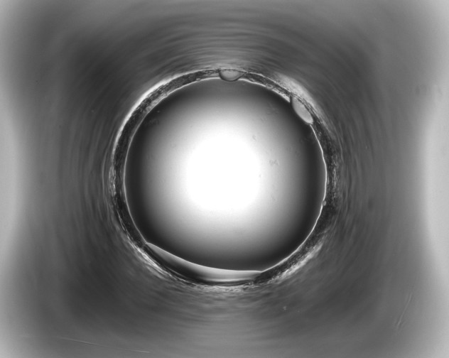 X0000085750924200703161051