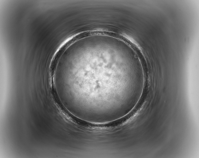 X0000085750925200703161051
