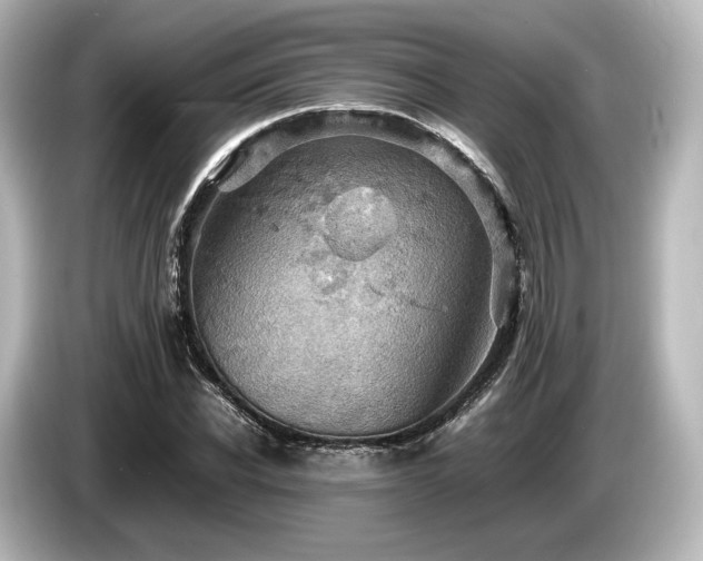X0000085750926200703161051