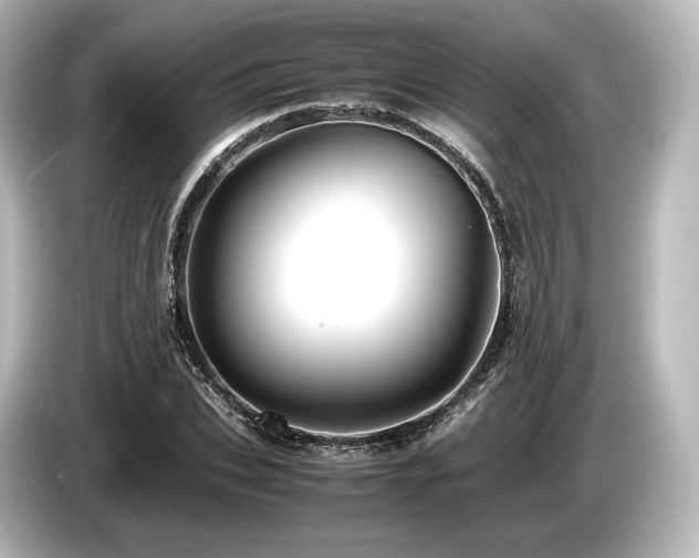 X0000085750927200703161051