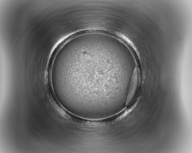 X0000085750928200703161051
