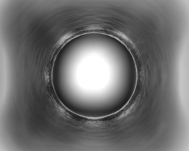 X0000085750929200703161051