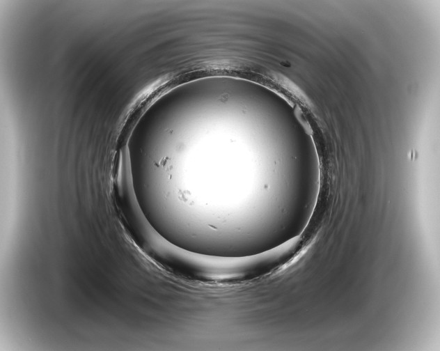 X0000085750930200703161051