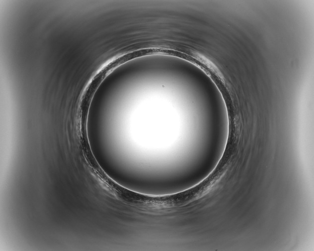 X0000085750931200703161051