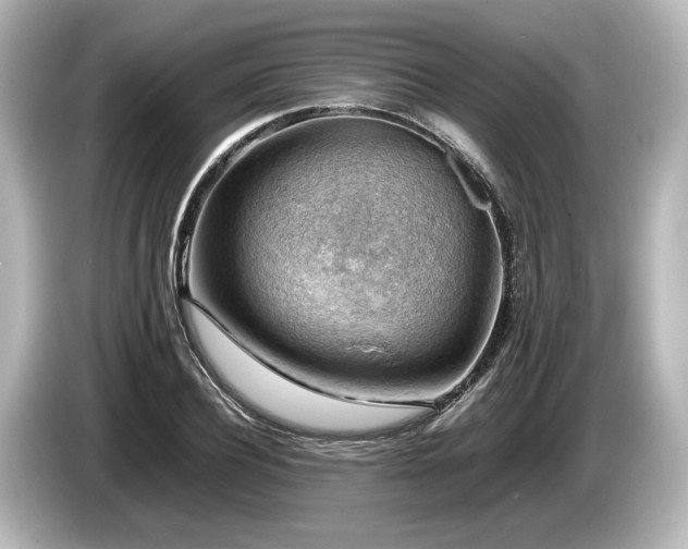 X0000085750932200703161051