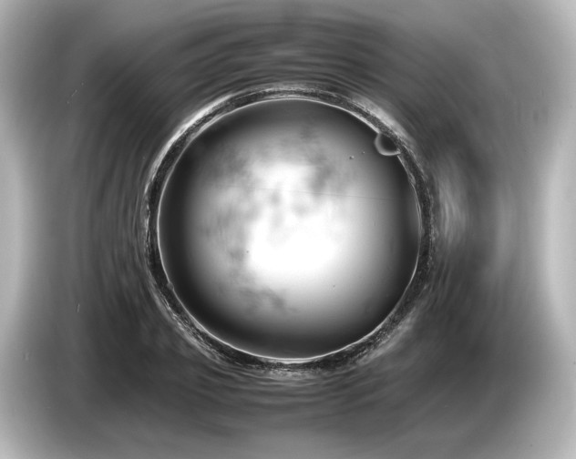 X0000085750933200703161051