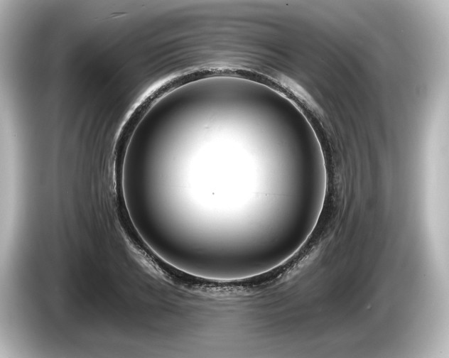 X0000085750934200703161051