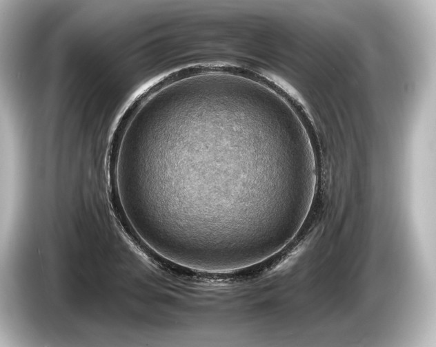 X0000085750935200703161051