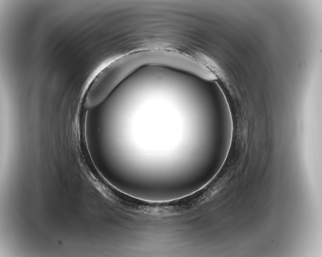 X0000085750936200703161051