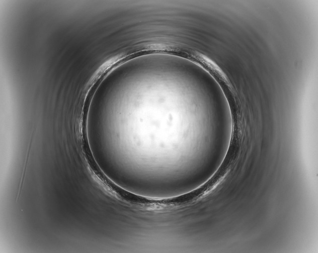 X0000085750938200703161051