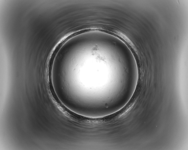 X0000085750939200703161051