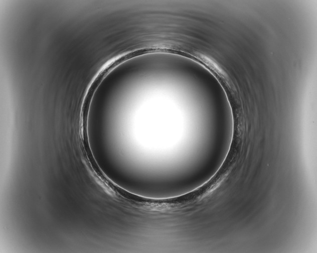 X0000085750940200703161051