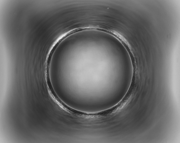 X0000085750941200703161051