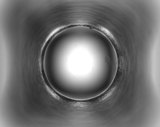 X0000085750942200703161051