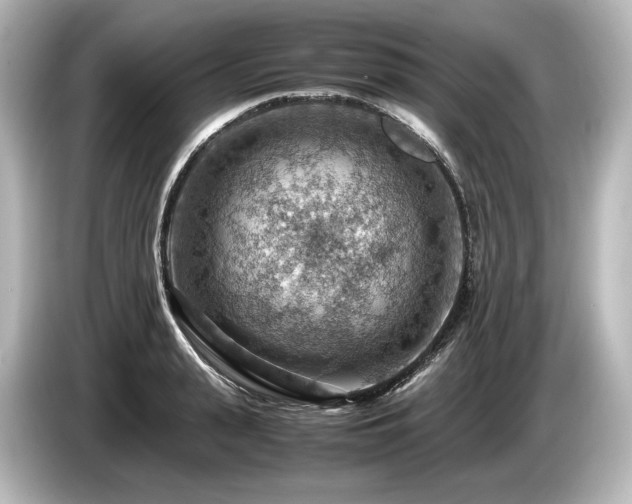 X0000085750943200703161051