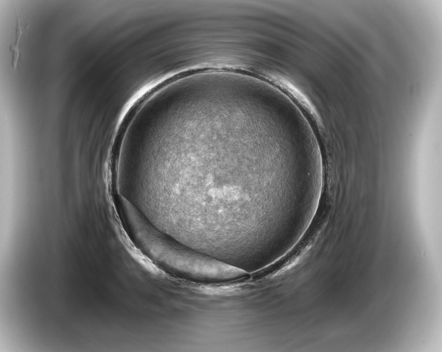 X0000085750944200703161051