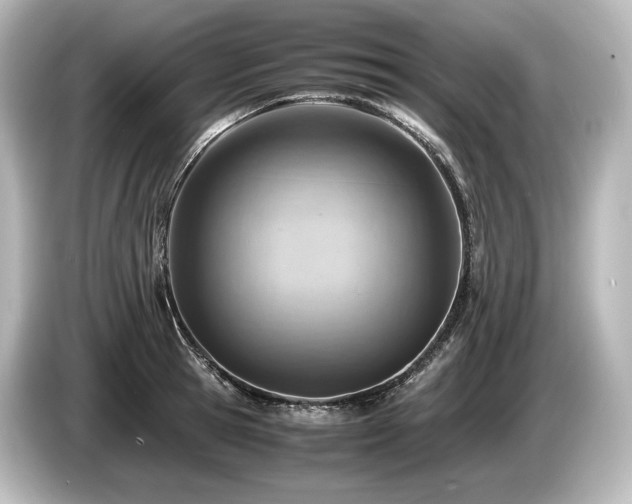 X0000085750945200703161051