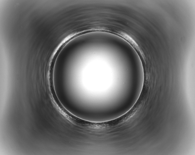 X0000085750947200703161051