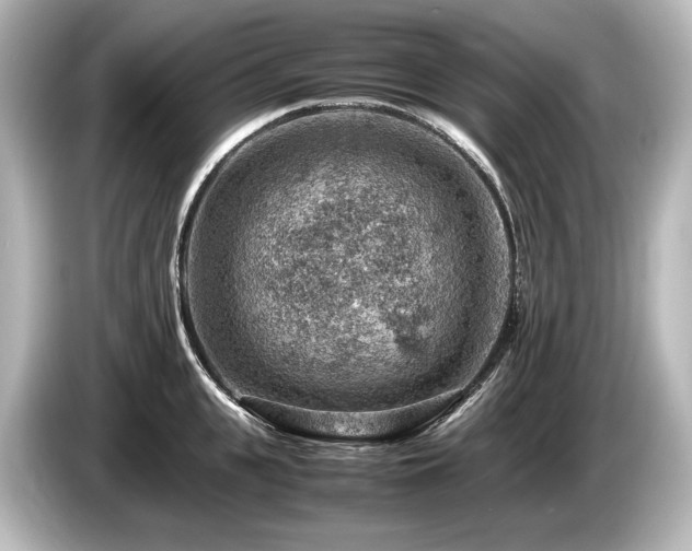 X0000085750951200703161051