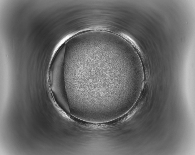 X0000085750952200703161051