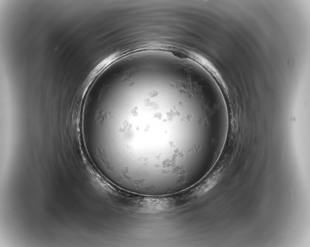 X0000085750954200703161052
