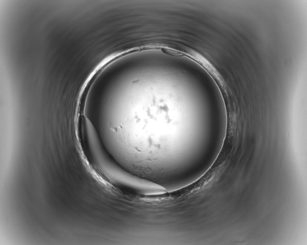 X0000085750955200703161052
