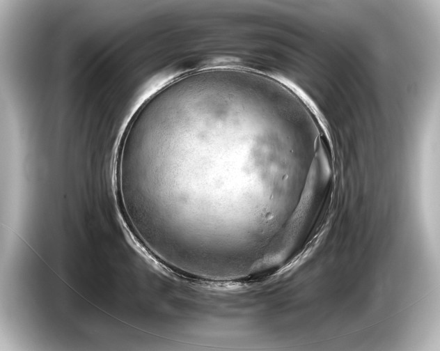 X0000085750957200703161052