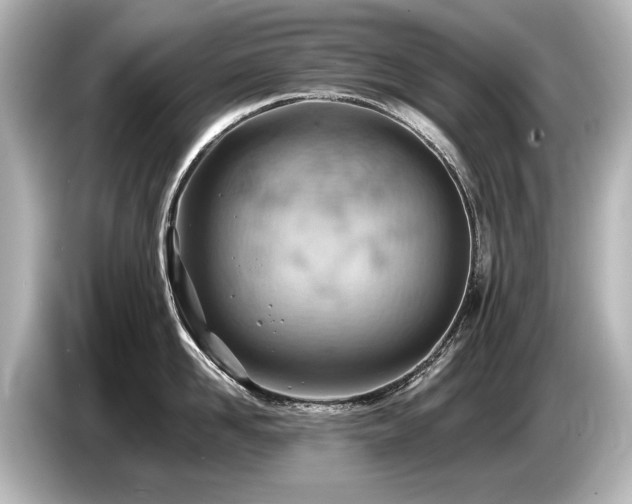 X0000085750958200703161052