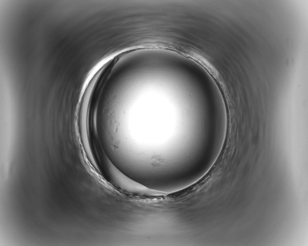 X0000085750960200703161052