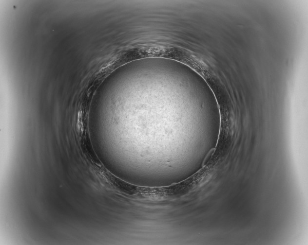 X0000085750962200703161051