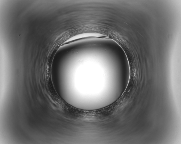 X0000085750964200703161051