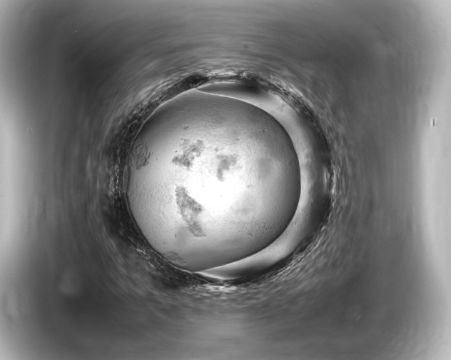 X0000085750965200703161051