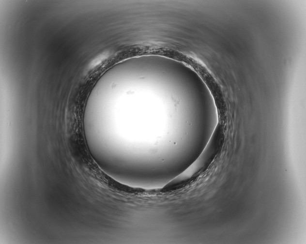 X0000085750967200703161051