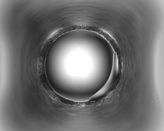X0000085750968200703161051